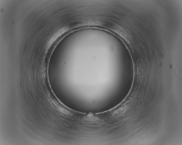 X0000067951119200604131428