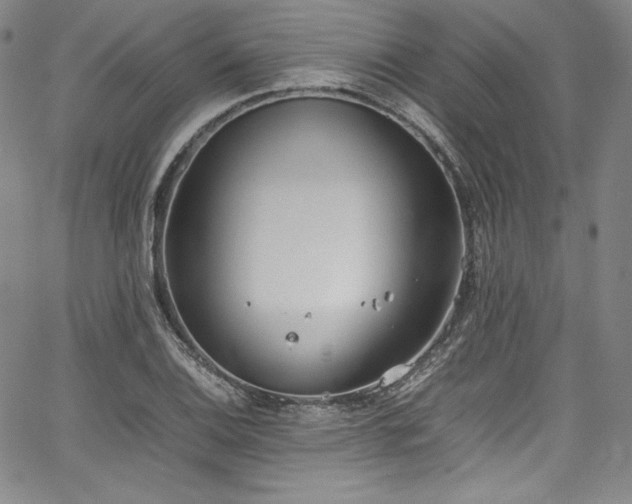 X0000067951124200604131429