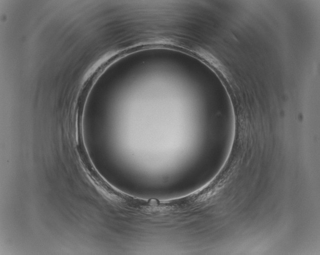 X0000067951127200604131429