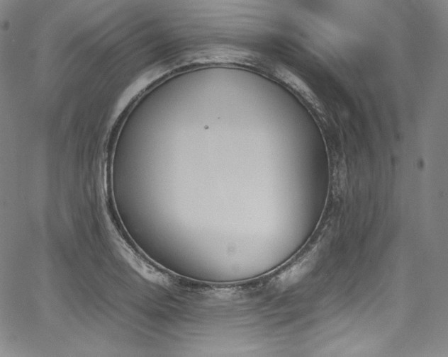 X0000067951130200604131429