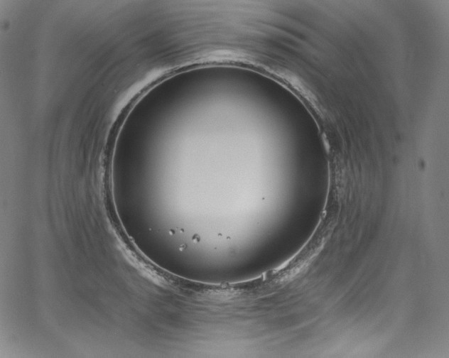 X0000067951134200604131429