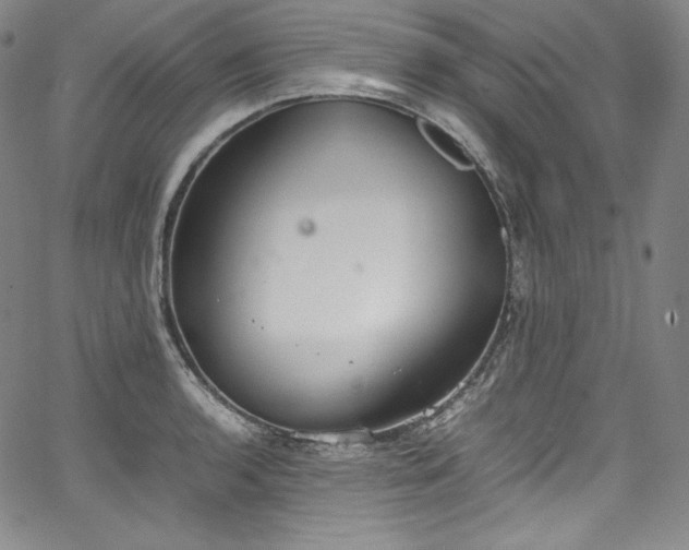 X0000067951136200604131429