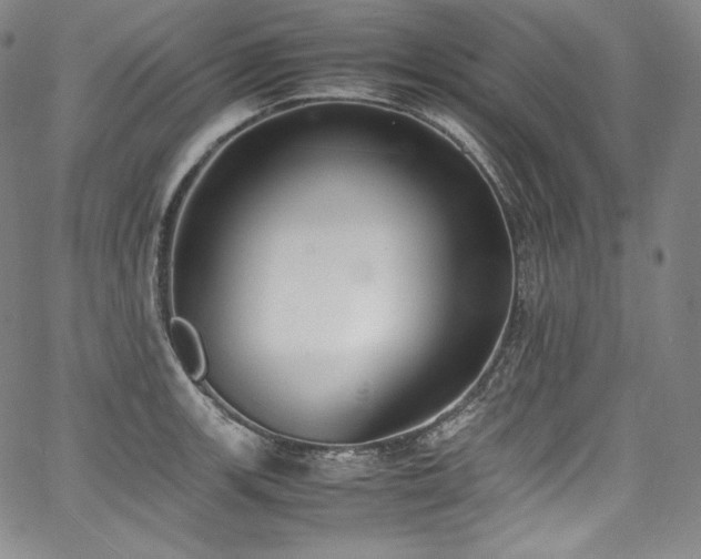 X0000067951139200604131429