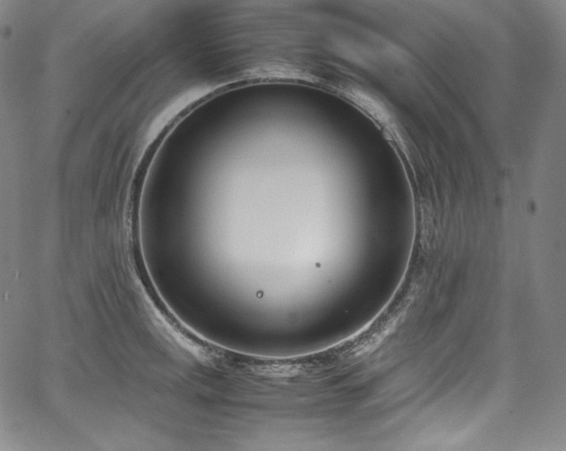 X0000067951141200604131429