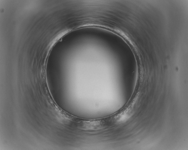 X0000067951145200604131429