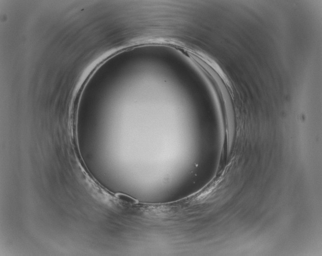 X0000067951148200604131429