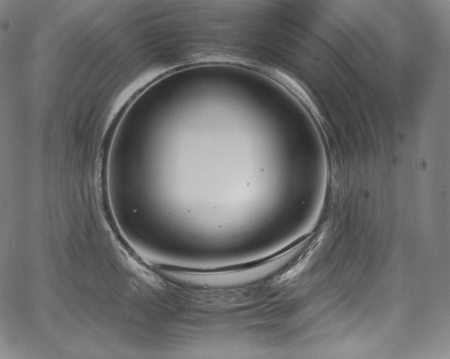 X0000067951149200604131429