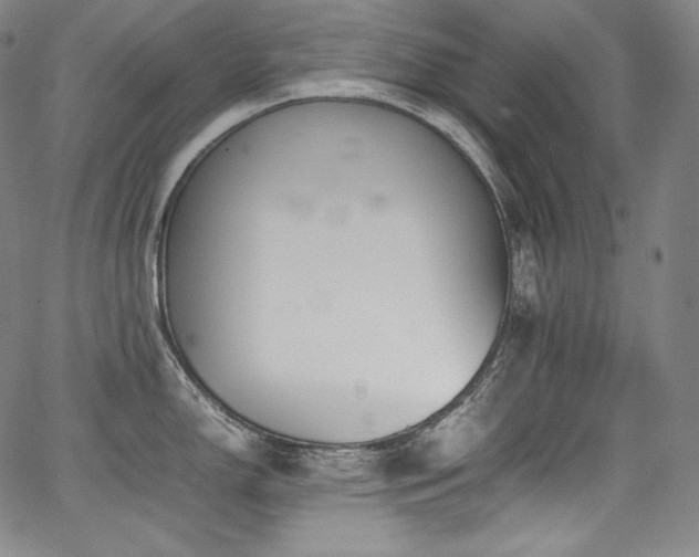 X0000067951150200604131429