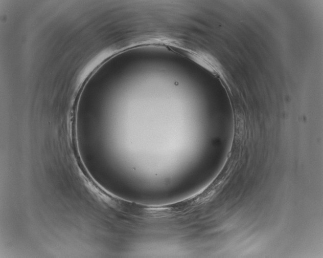 X0000067951151200604131429