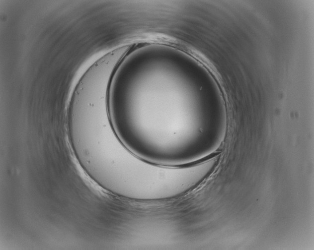 X0000067951152200604131429