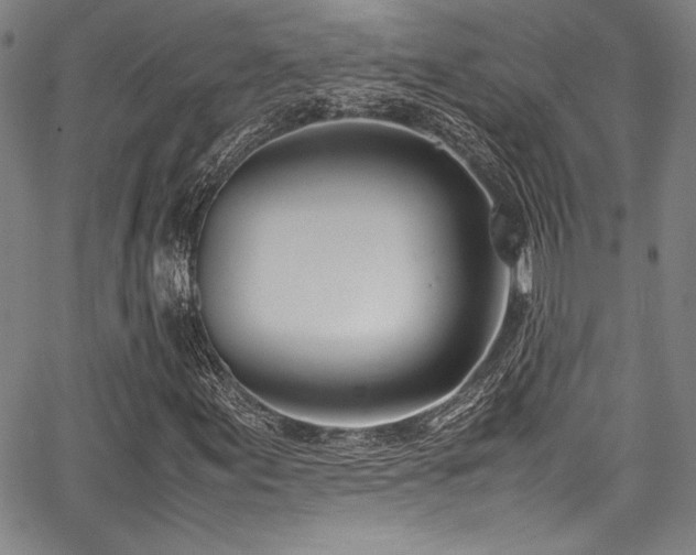X0000067951155200604131428