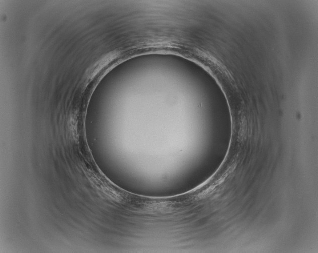 X0000067951162200604131428