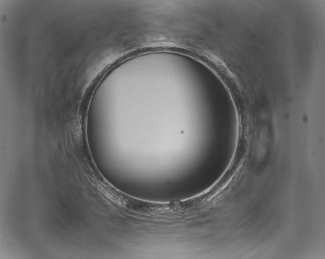 X0000067951167200604131428