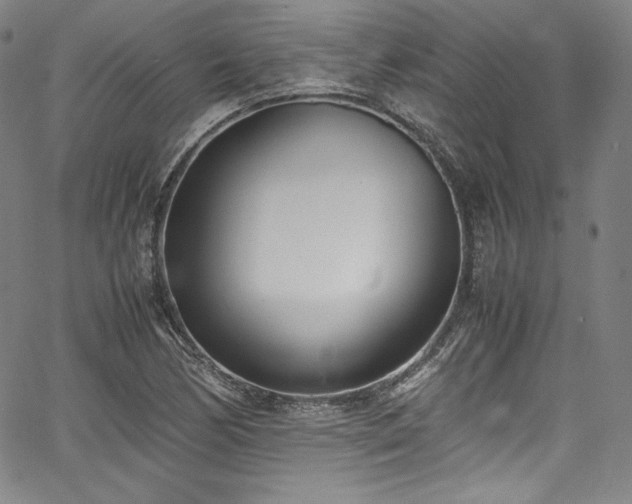X0000067951170200604131428