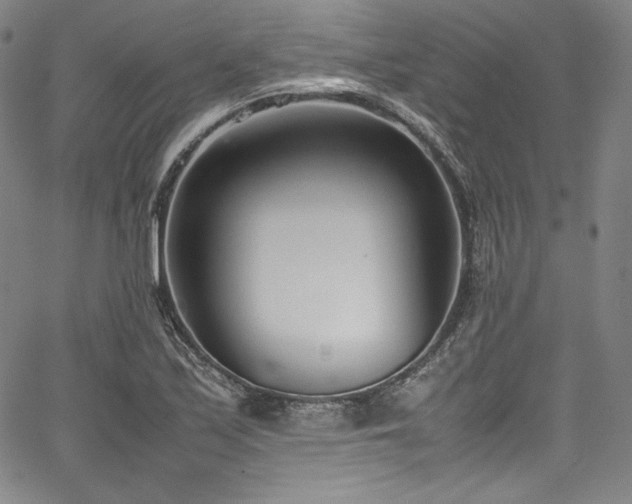 X0000067951171200604131428