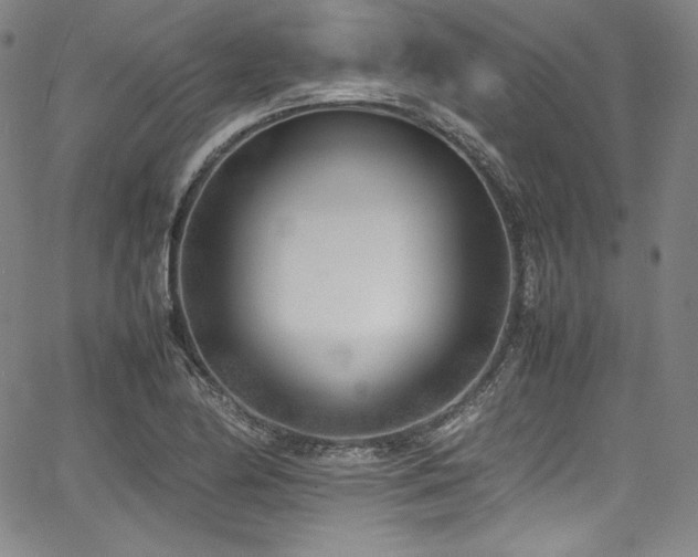 X0000067951174200604131428
