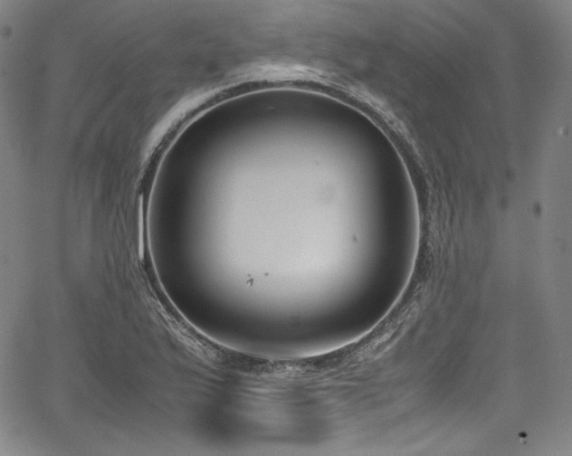 X0000067951175200604131428