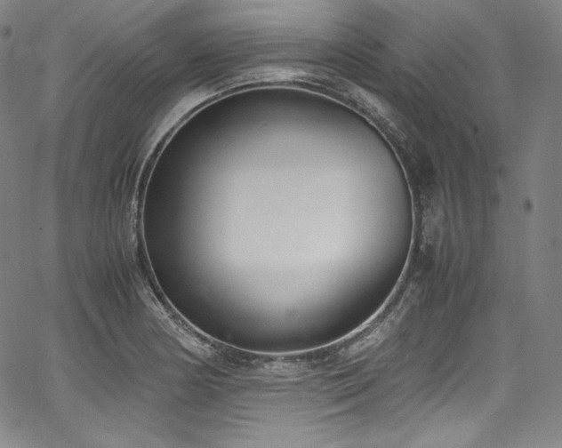 X0000067951178200604131428