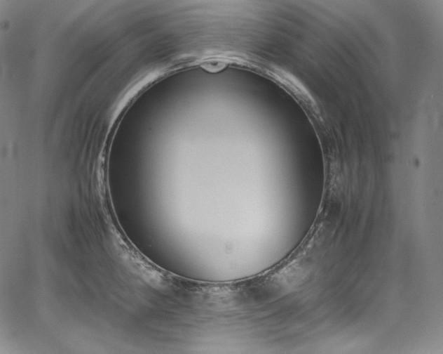 X0000067951190200604131428