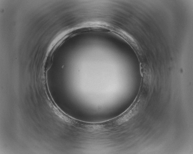 X0000067951192200604131428