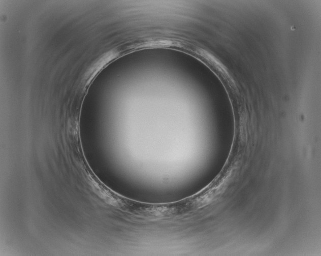 X0000067951193200604131428
