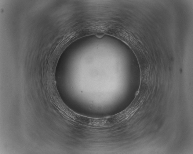 X0000067951201200604131427