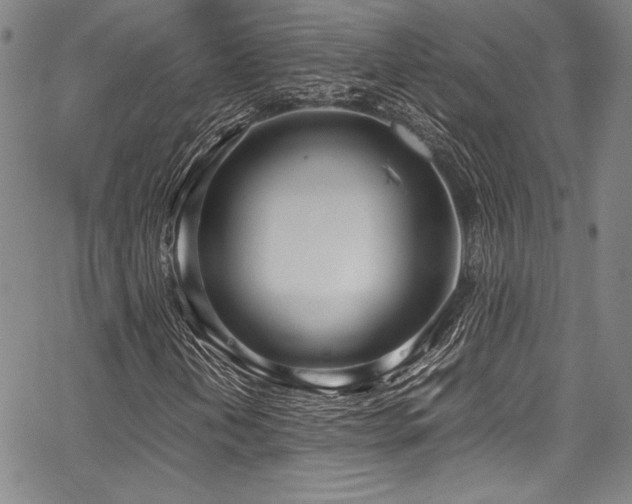 X0000067951202200604131427