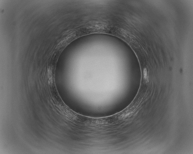 X0000067951203200604131427
