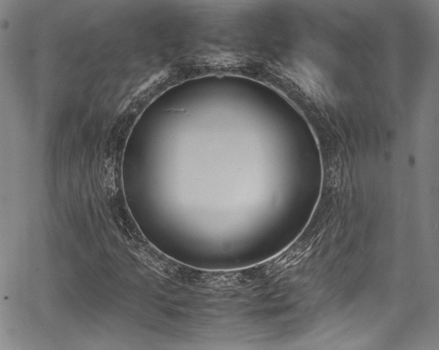 X0000067951205200604131427