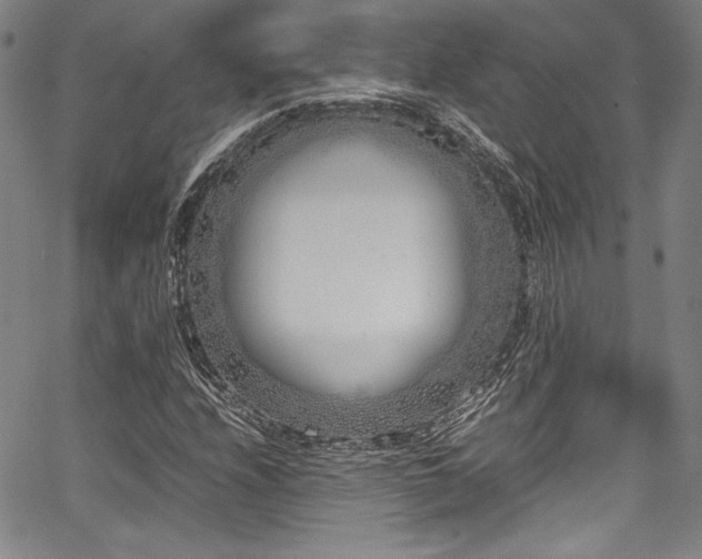 X0000067951208200604131427