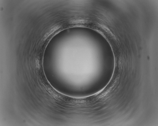 X0000067951209200604131427