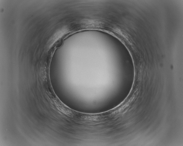 X0000067951211200604131427
