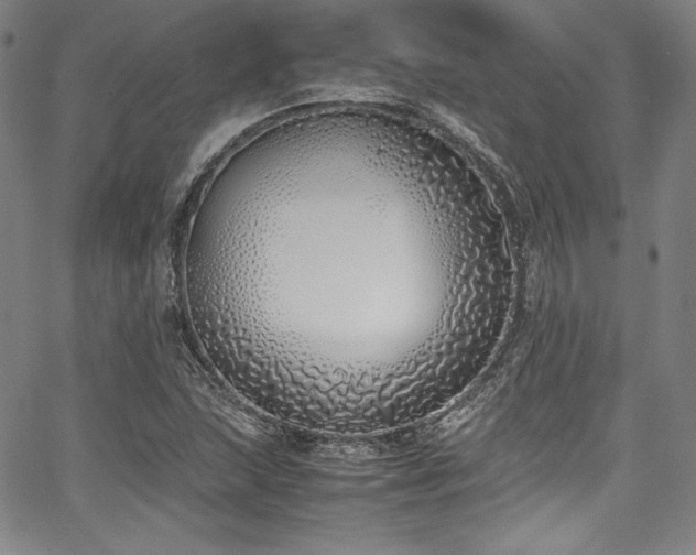 X0000067951215200604131427