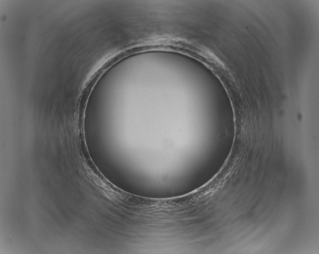 X0000067951216200604131427