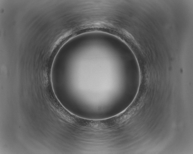 X0000067951218200604131427