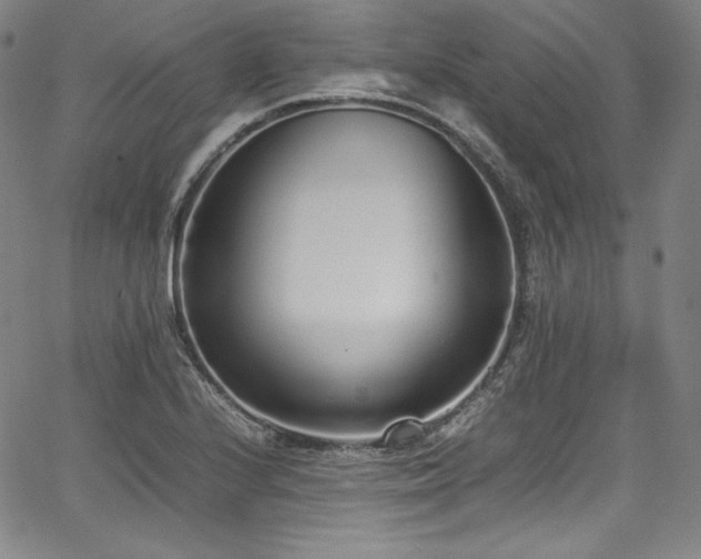 X0000067951224200604131427
