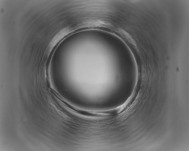 X0000067951226200604131427