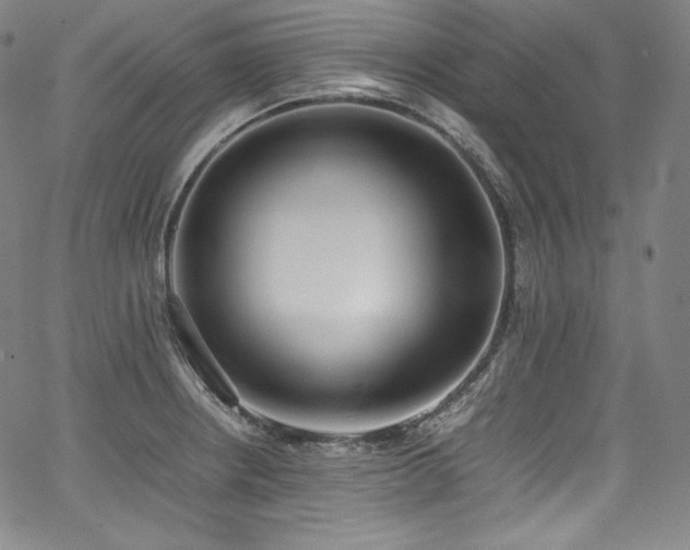 X0000067951234200604131427