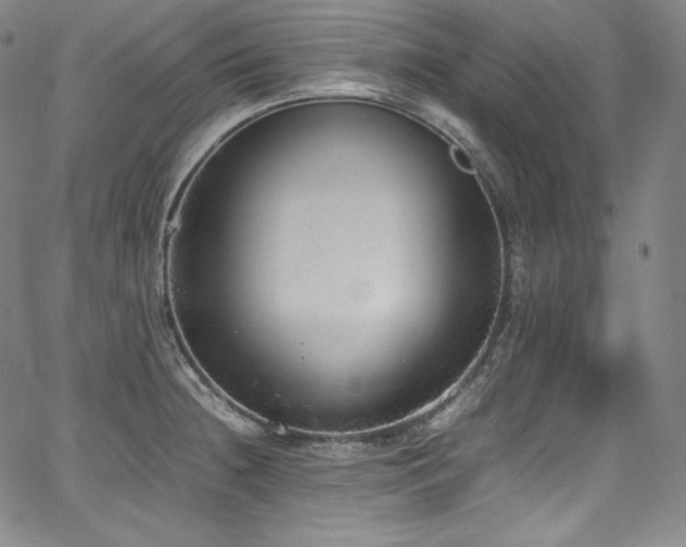 X0000067951236200604131427