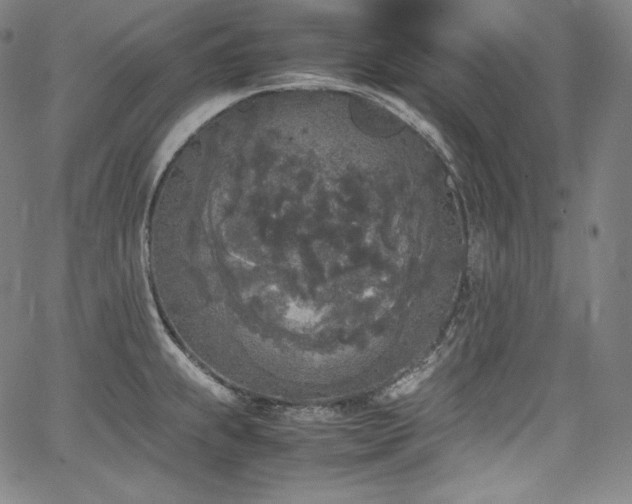 X0000067951239200604131427