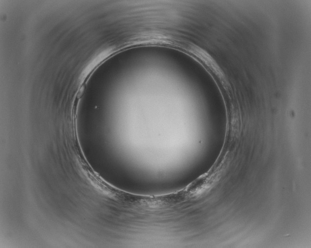 X0000067951242200604131427