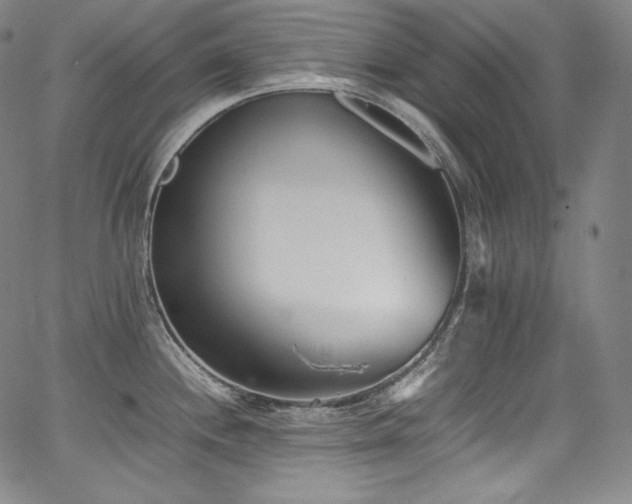 X0000067951244200604131427