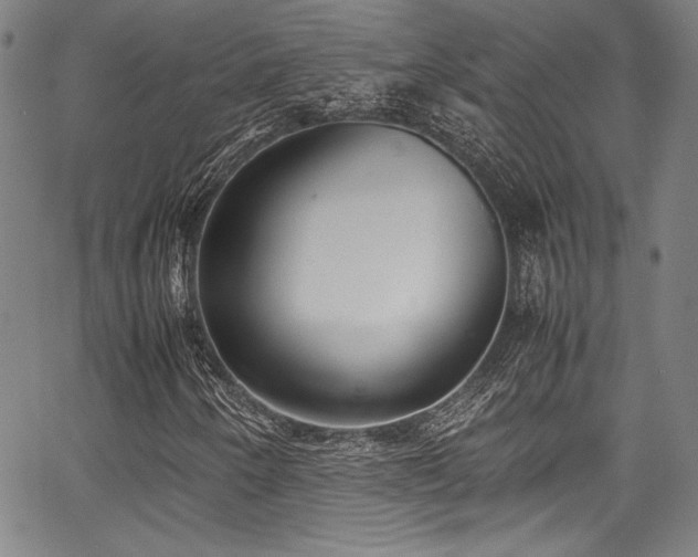 X0000067951250200604131427