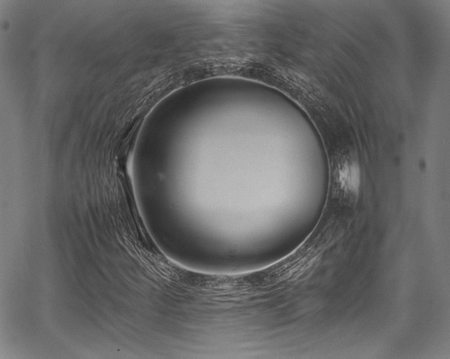 X0000067951252200604131427