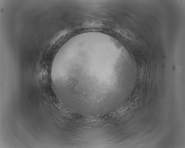 X0000067951254200604131427