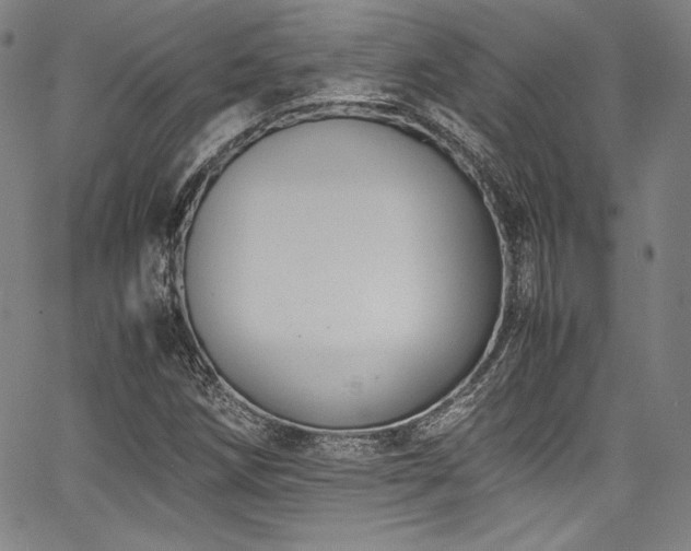 X0000067951258200604131426