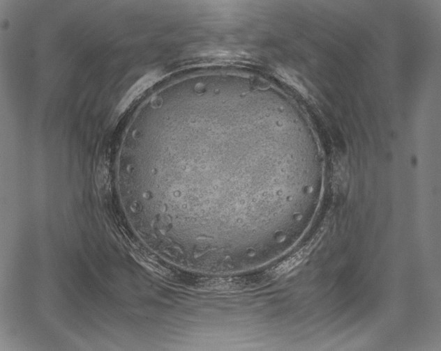 X0000067951259200604131426