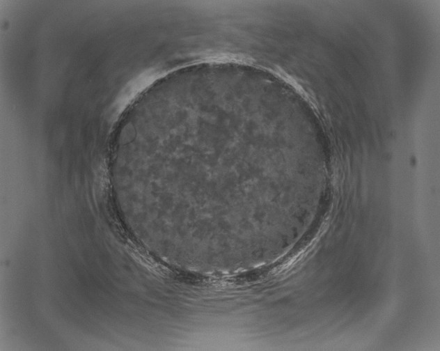 X0000067951263200604131426