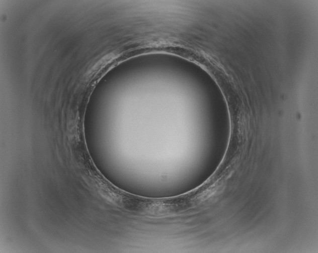 X0000067951265200604131426
