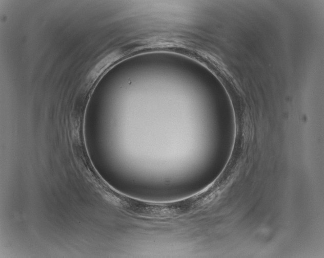 X0000067951273200604131426